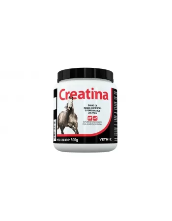 CREATINA 500G