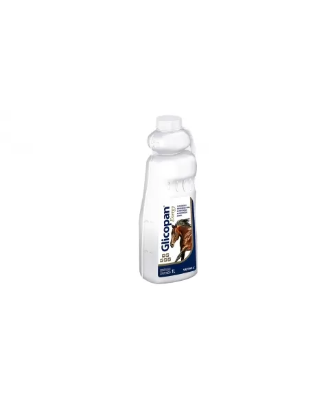 GLICOPAN ENERGY 1L