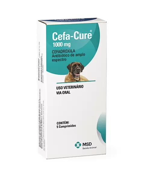 CEFA - CURE 1000 MG