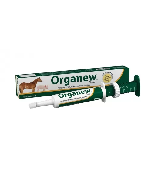 ORGANEW PASTA 32G