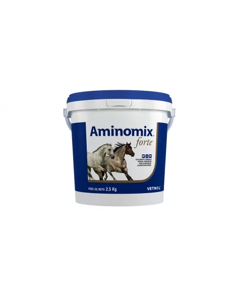 AMINOMIX FORTE 2,5KG