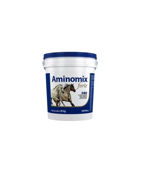 AMINOMIX FORTE 20KG